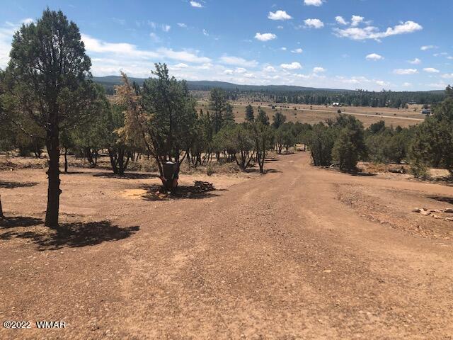 5462 Pinedale Road Show Low, AZ 85901 - Photo 11 of 19