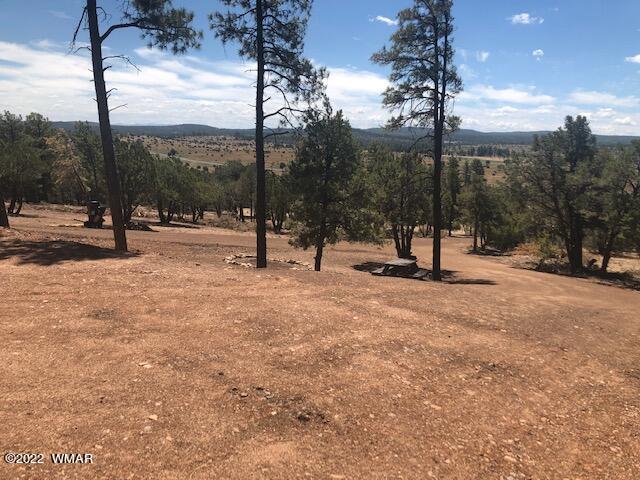 5462 Pinedale Road Show Low, AZ 85901 - Photo 13 of 19