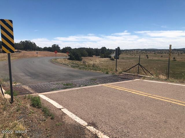 5462 Pinedale Road Show Low, AZ 85901 - Photo 2 of 19