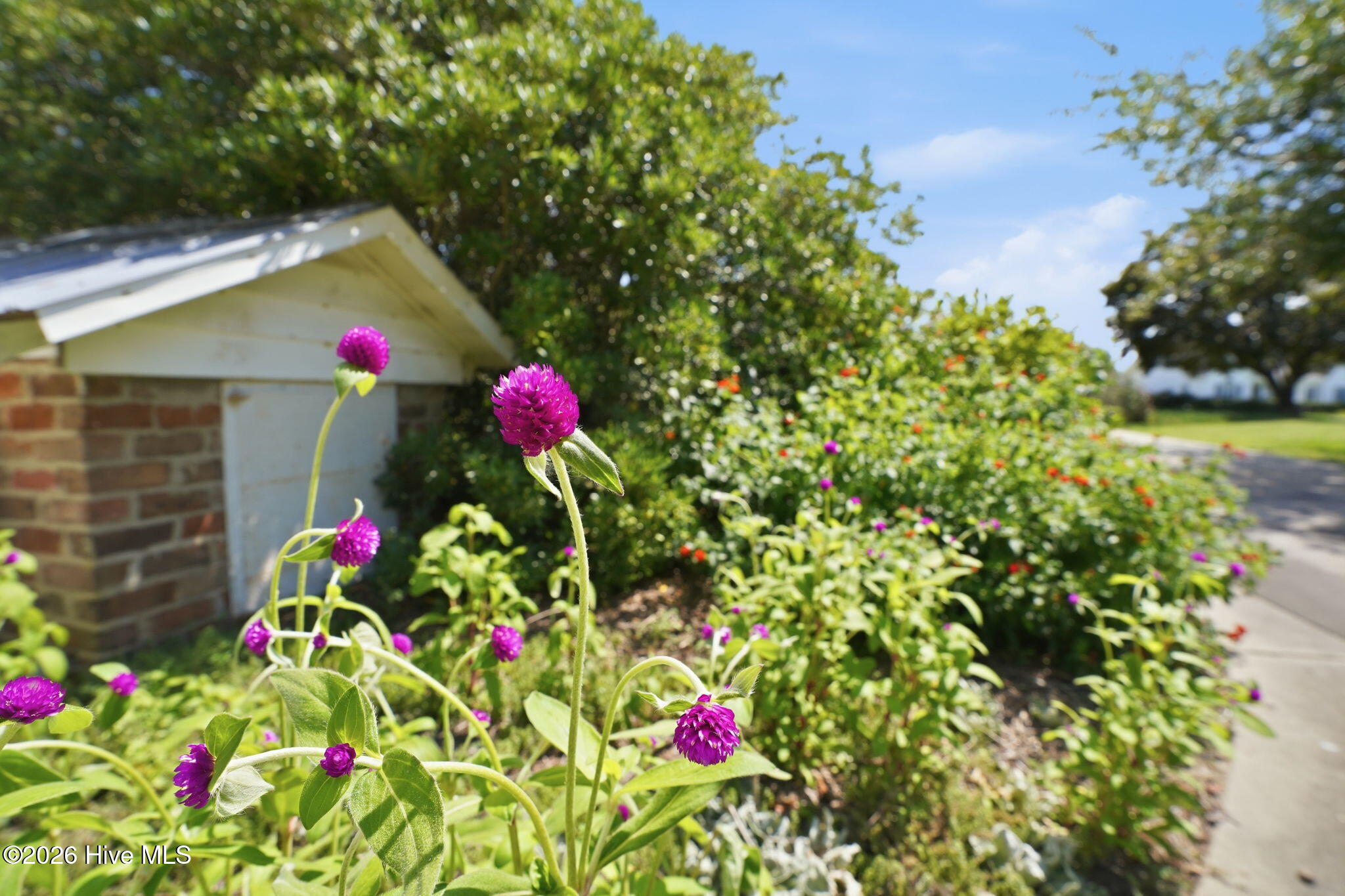 7220 Neal Road Lucama, NC 27851 - Photo 58 of 71 Lovely flowers encircle this well manicured property