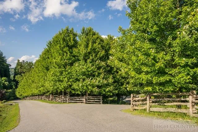 a view of a park with large trees