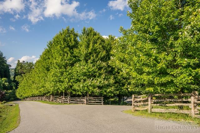 Lot 12 Cielo Road Blowing Rock, NC 28605 - Photo 11 of 14 a view of a yard with a tree