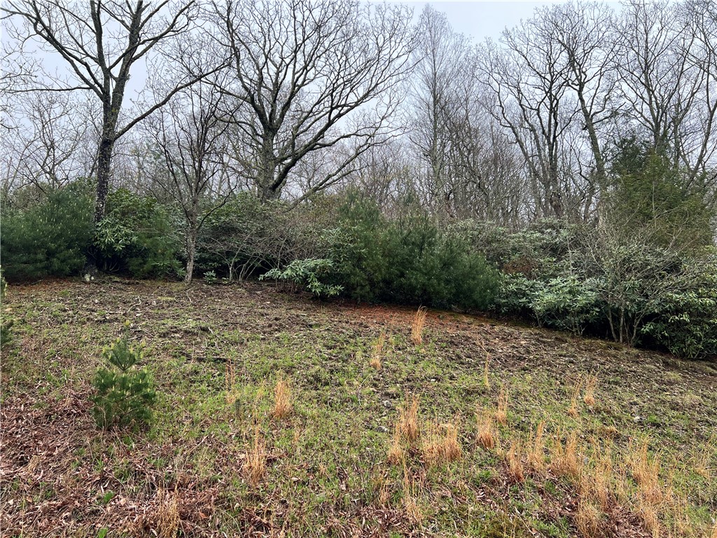 Lot 12 Cielo Road Blowing Rock, NC 28605 - Photo 2 of 14 a view of backyard with large trees