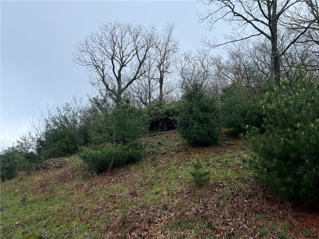 Lot 12 Cielo Road Blowing Rock, NC 28605 - Photo 3 of 14 a view of a forest with trees in back