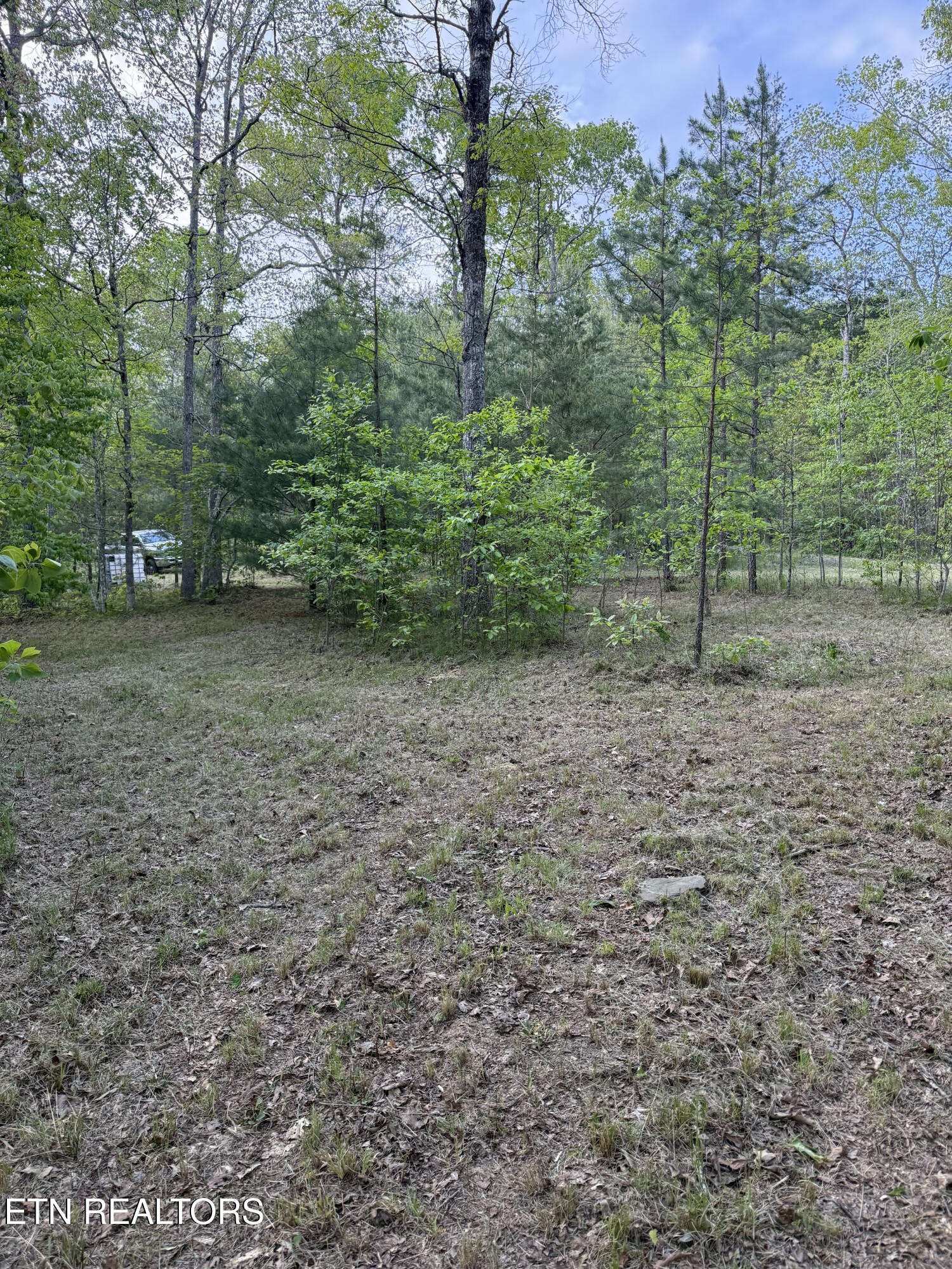 0 Genesis Road Crossville, TN 38555 - Photo 12 of 15