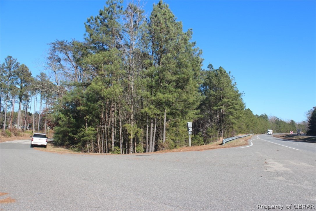 16.3-ac Pierce Road Saluda, VA 23149 - Photo 11 of 18