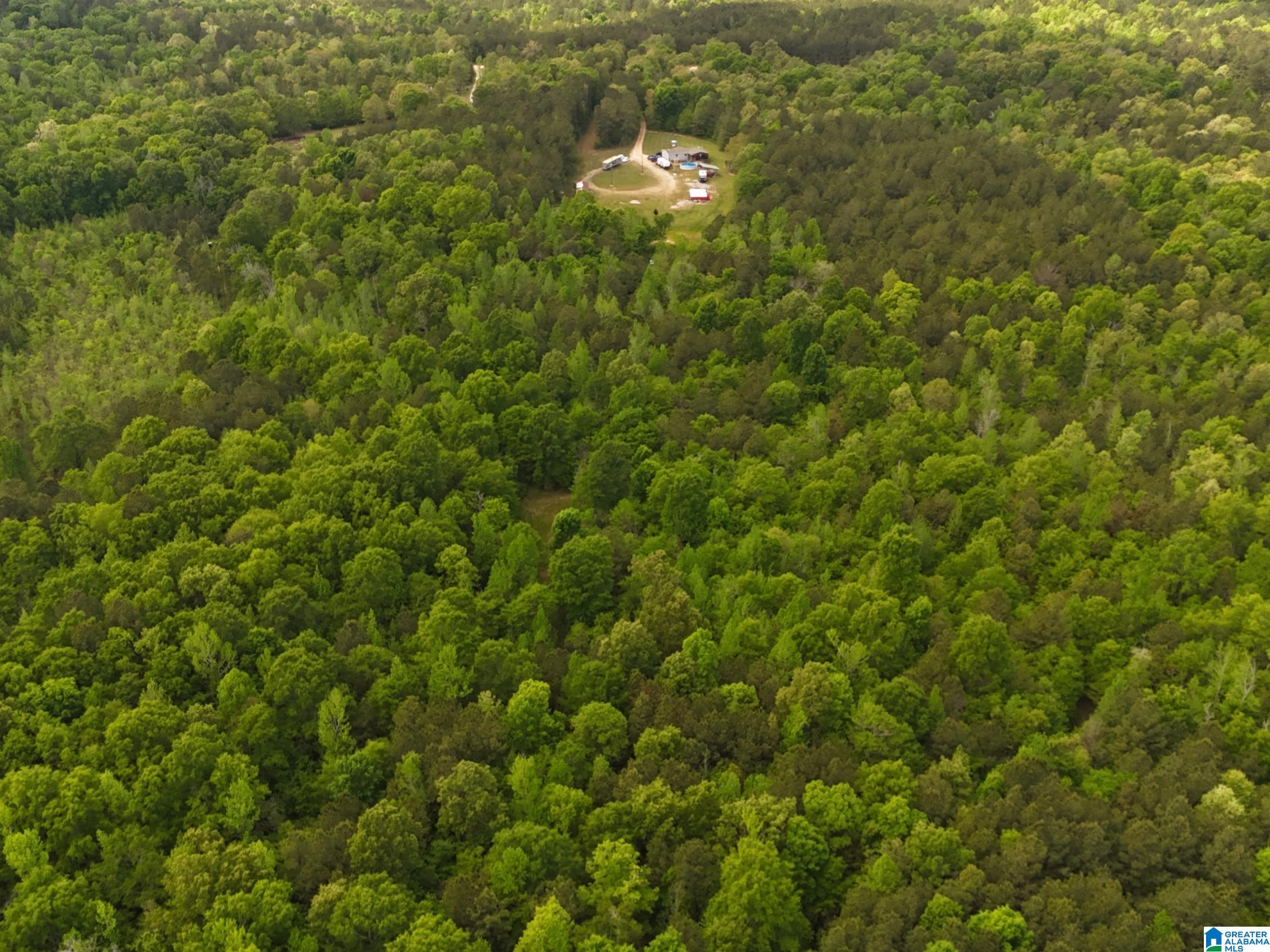1336 Estes Road Piedmont, AL 36272 - Photo 3 of 50