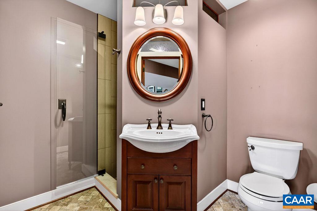 1059 Bryant Mountain Road Roseland, VA 22967 - Photo 38 of 58 a bathroom with a sink a toilet and a mirror