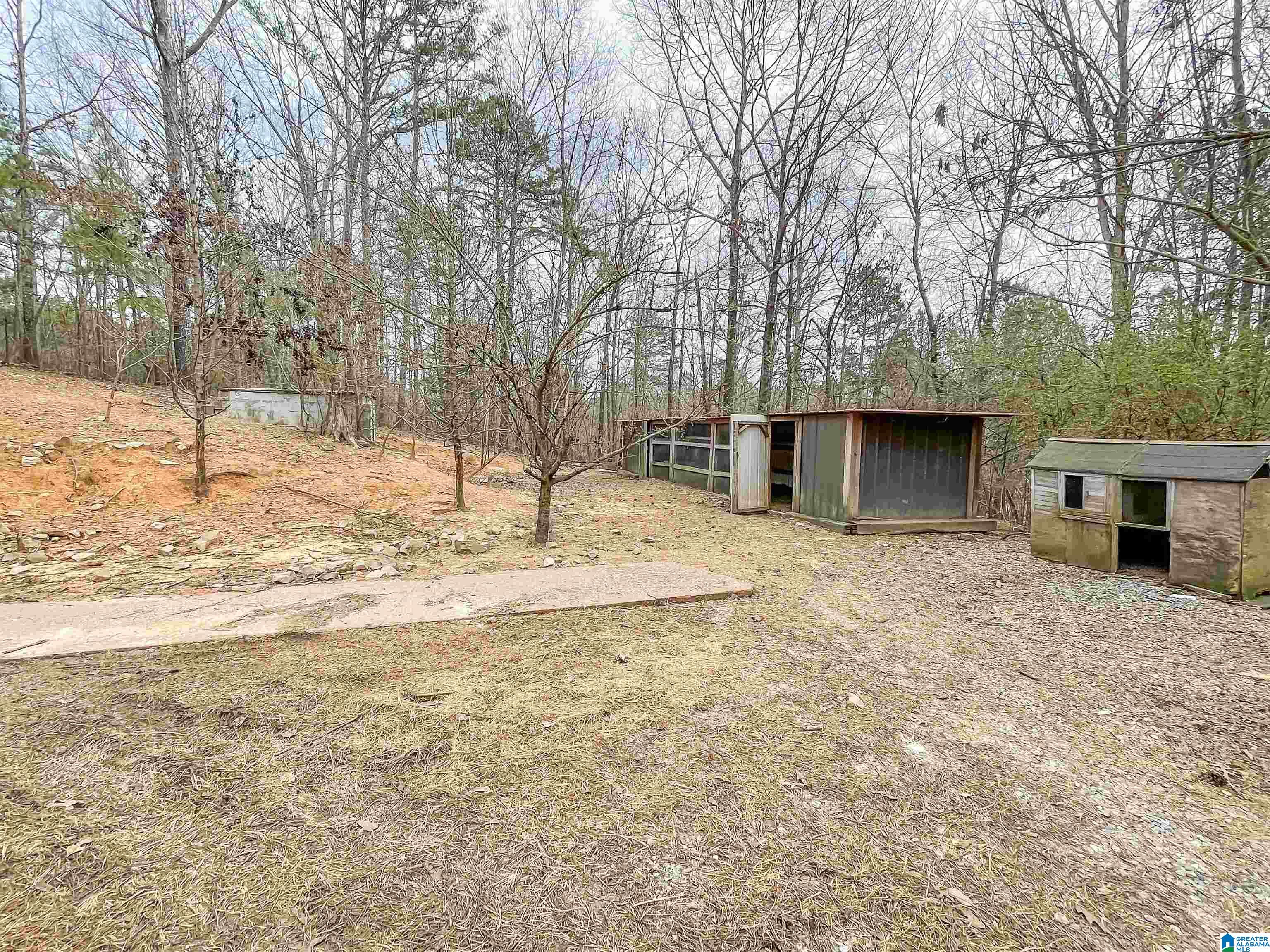 4770 Cook Springs Road Pell City, AL 35125 - Photo 6 of 19 Gallery Image 6