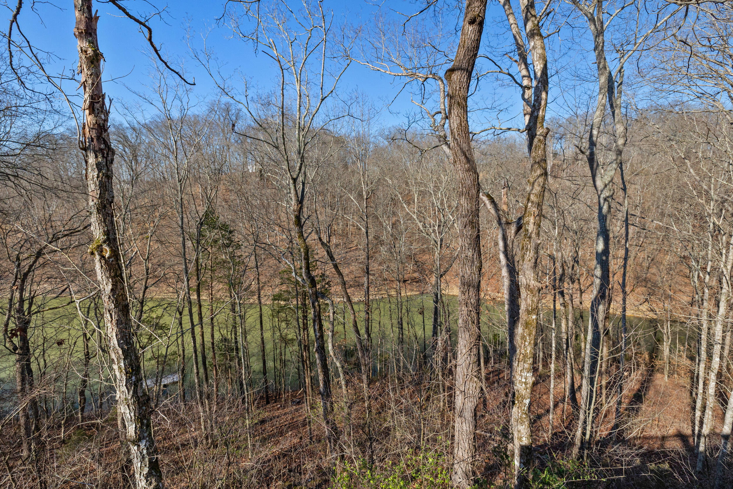2026 Keeney Road Nancy, KY 42544 - Photo 40 of 41 pend9201