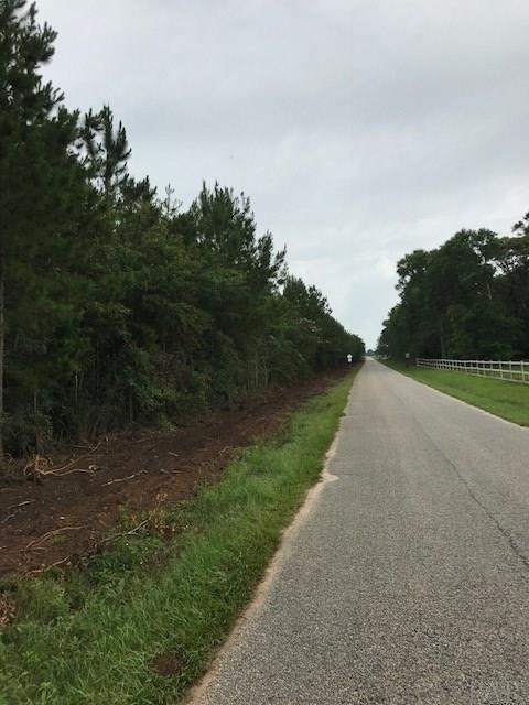 18 Bud Diamond Road Jay, FL 32565 - Photo 1 of 1 Gallery Image 1