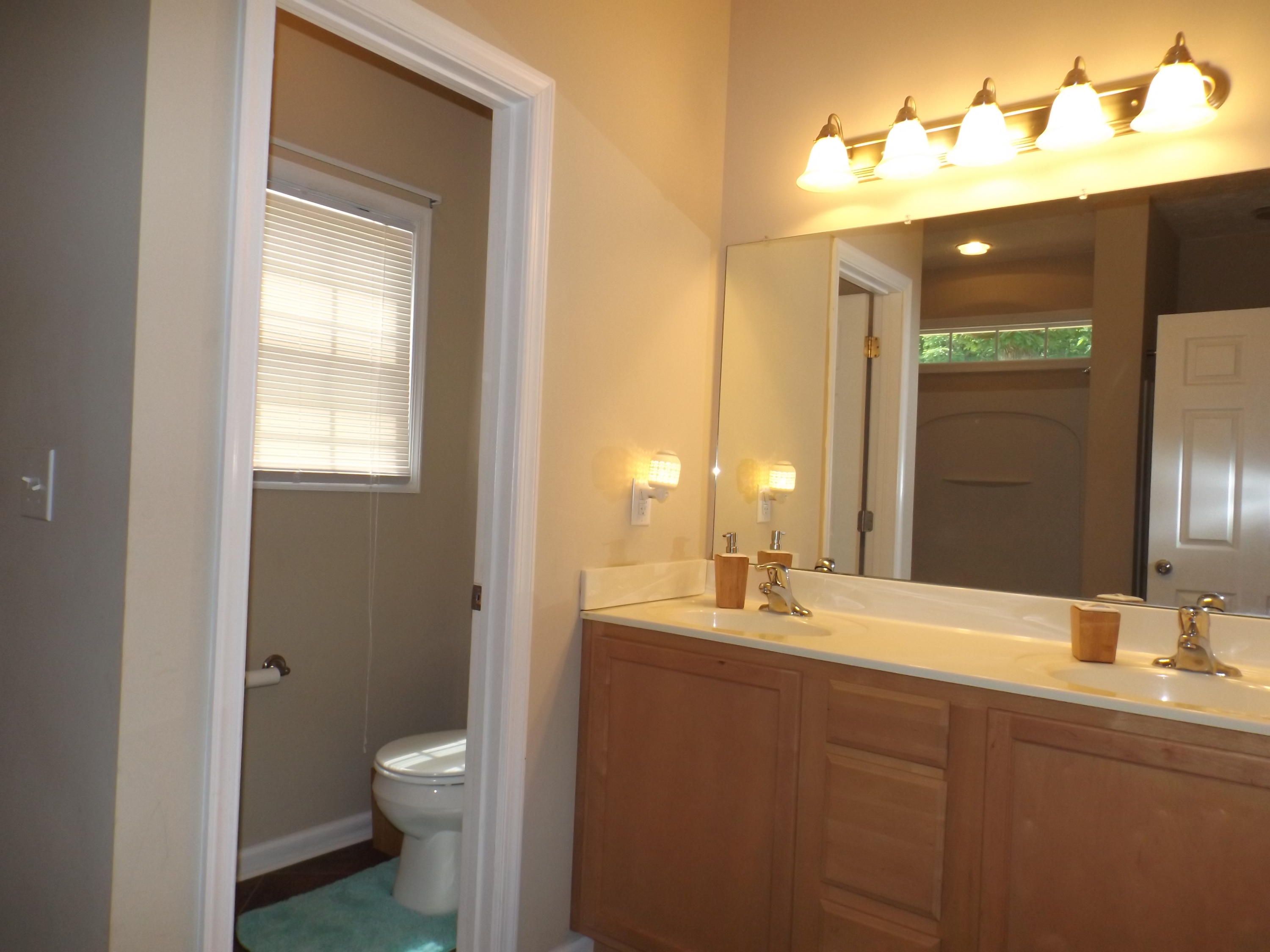 4748 Meadors Spur Road Moneta, VA 24121 - Photo 13 of 36 Master Bath