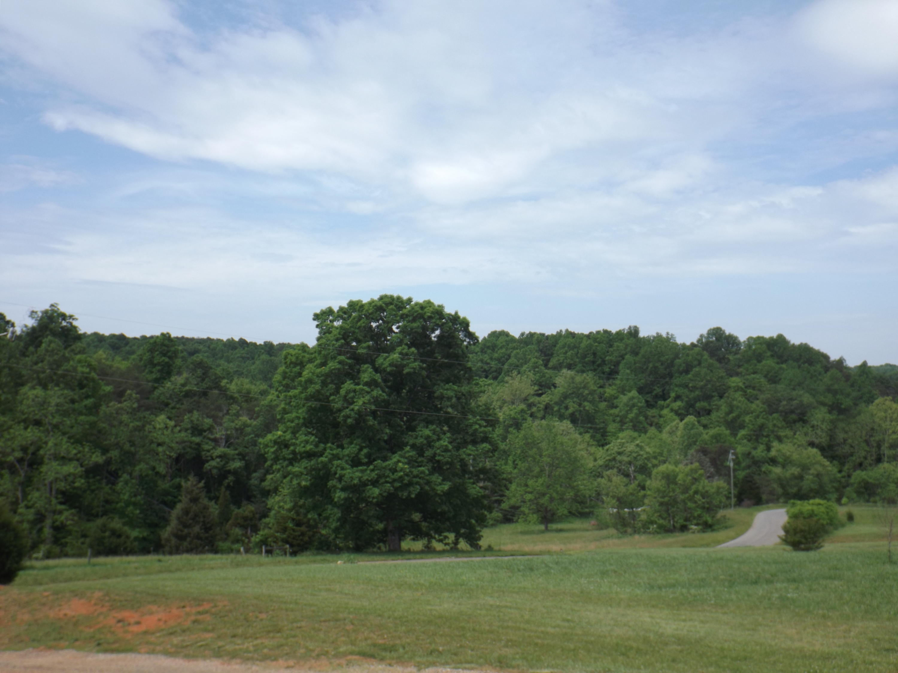 4748 Meadors Spur Road Moneta, VA 24121 - Photo 3 of 36 Lush Mountain Views