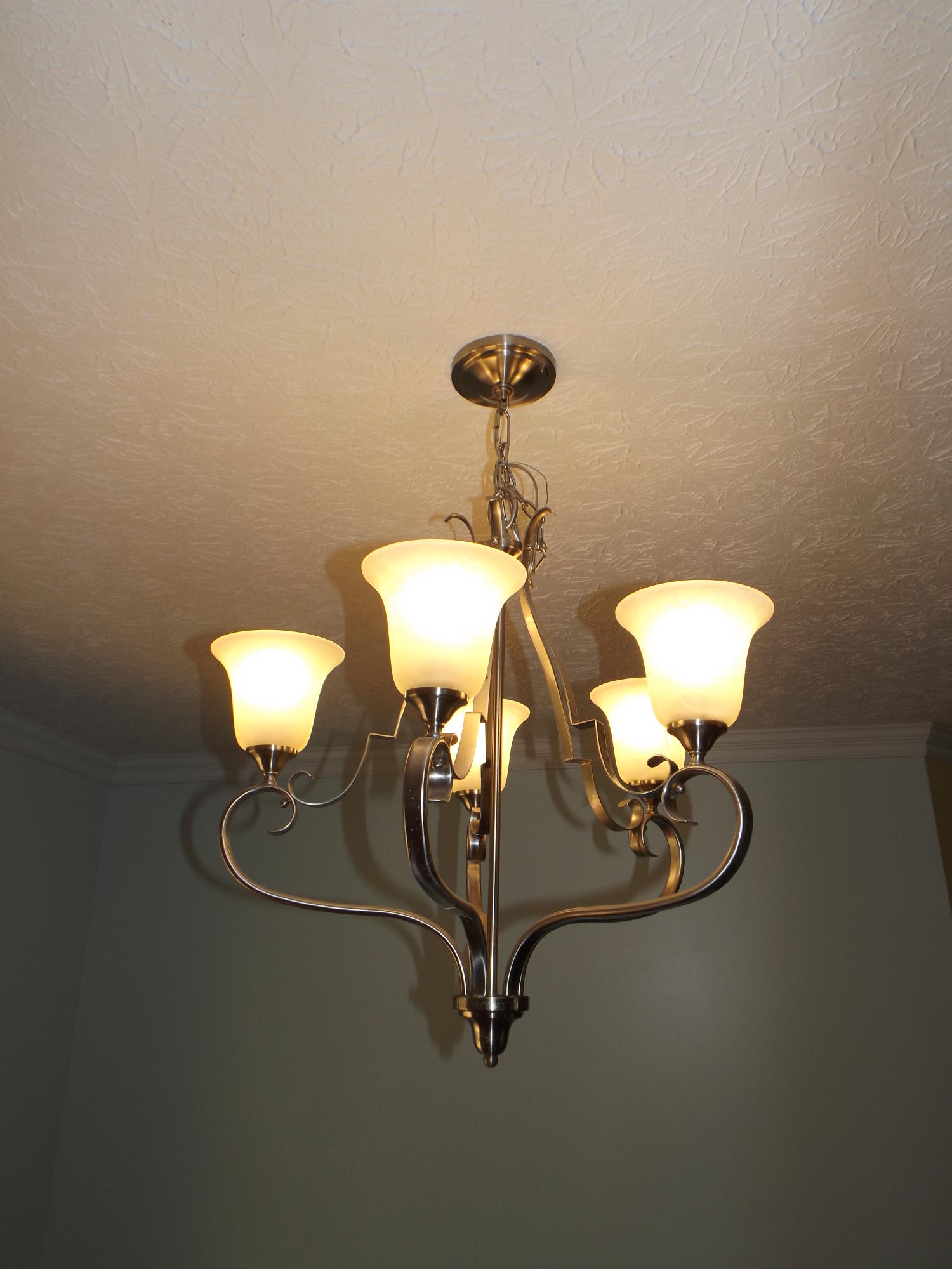 4748 Meadors Spur Road Moneta, VA 24121 - Photo 29 of 36 Dining Room Chandalier