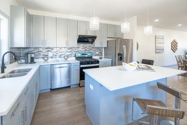 $699,000 | 4353 South Halsted Street, Chicago, IL 60609