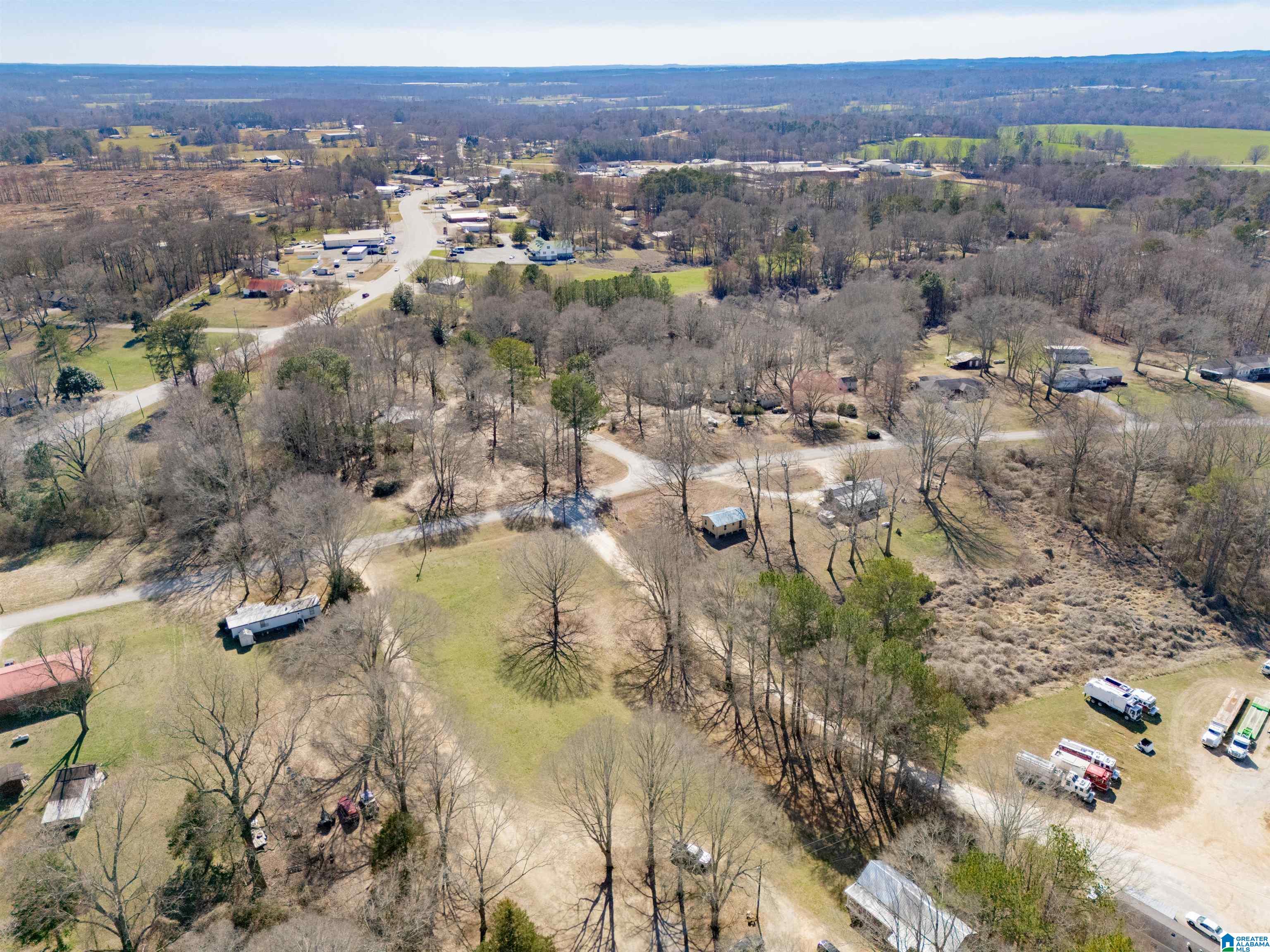 120 3rd Avenue North Ranburne, AL 36273 - Photo 2 of 33
