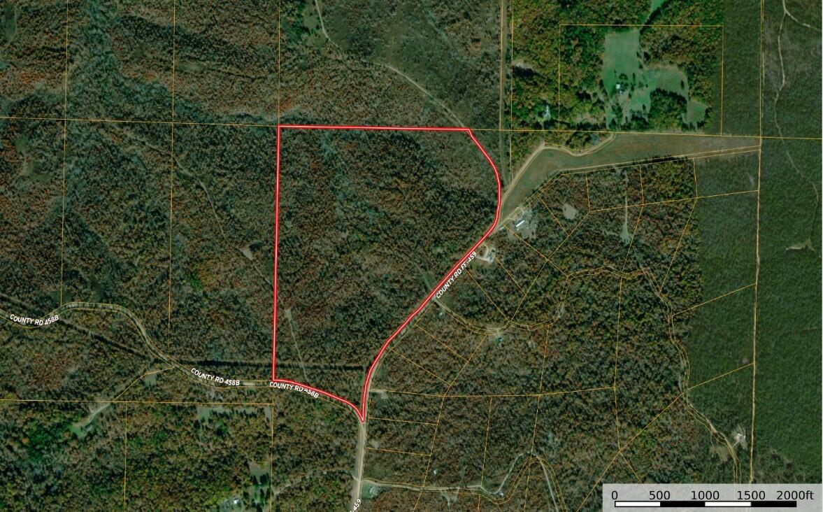 0 County Rd FF-459 Birch Tree, MO 65438 - Photo 8 of 55 109 Acres in Birch Tree