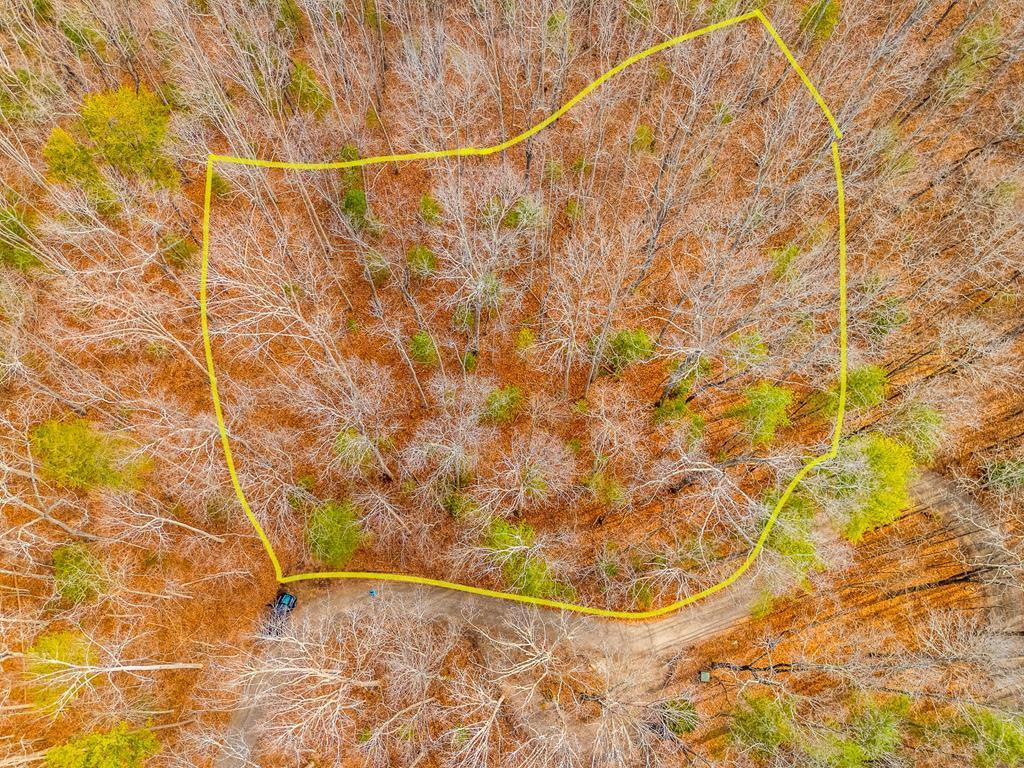 1.03-ac Guy Eller Road Murphy, NC 28906 - Photo 1 of 27 Main View