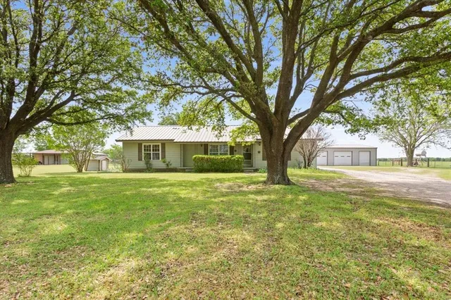 a tall tree in middle of green field