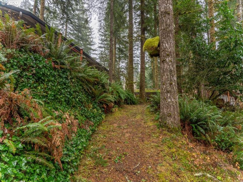 30202 Northeast Stoddard Road Yacolt, WA 98675 - Photo 23 of 30 Gallery Image 23