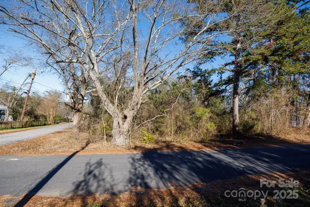 a backyard of a house with table and chairs plants and large trees