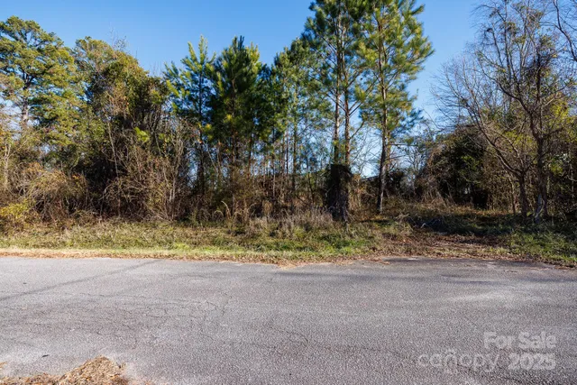 a view of a yard with a tree