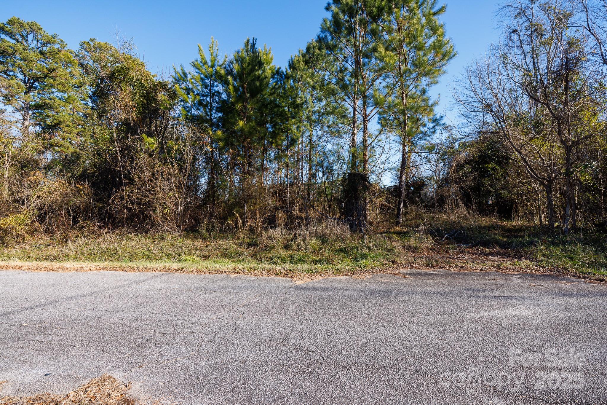 7 Wilson Avenue Great Falls, SC 29055 - Photo 6 of 8 a view of road and trees
