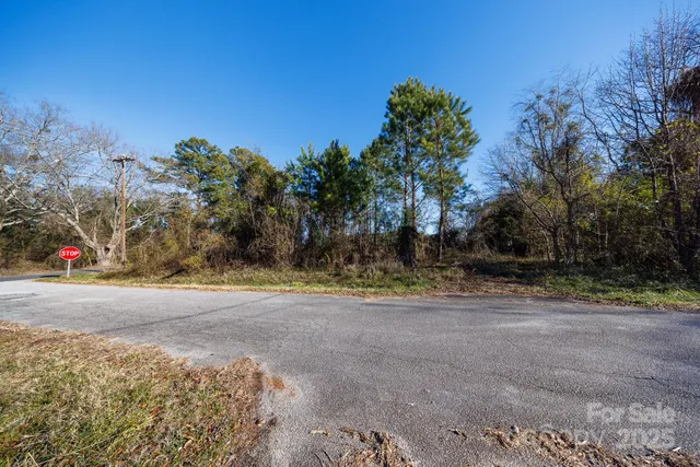 $9,500 | 7 Wilson Avenue, Great Falls, SC 29055