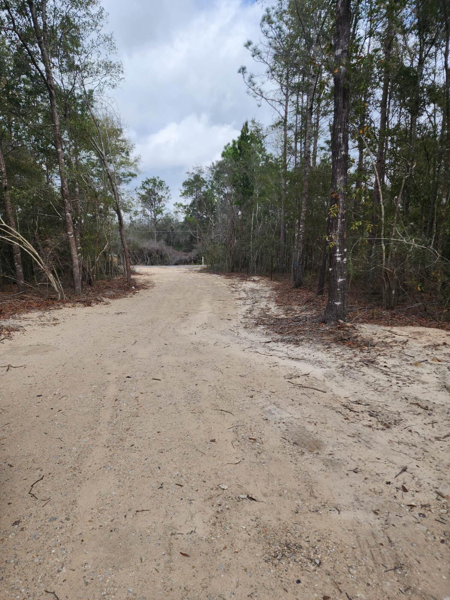 1249 Martin Road DeFuniak Springs, FL 32433 - Photo 15 of 15 a view of empty room with trees