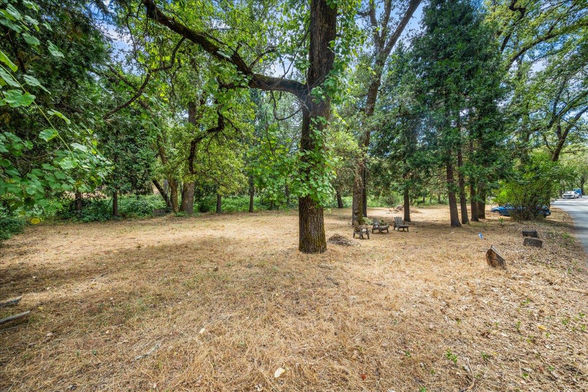 1780 Volley Road Meadow Vista, CA 95722 - Photo 11 of 62