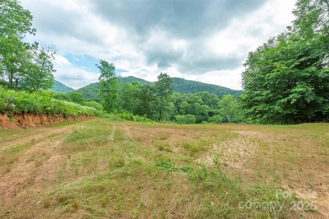 a view of an outdoor space and a yard