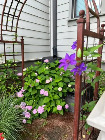 $899,000 | 851 River Gorge Drive, Chattanooga, TN 37419