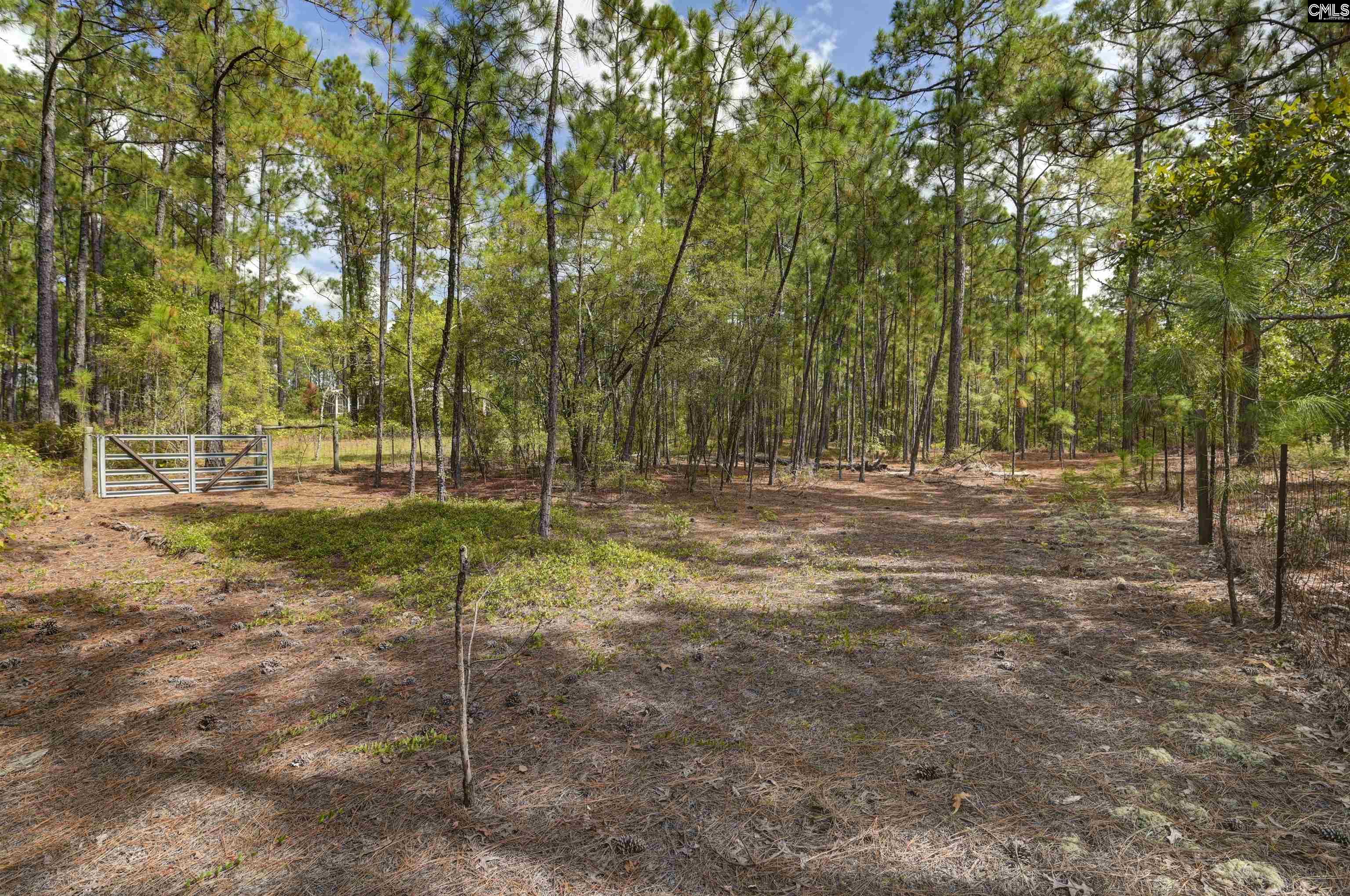 257 Rimrock Road Gilbert, SC 29054 - Photo 40 of 46