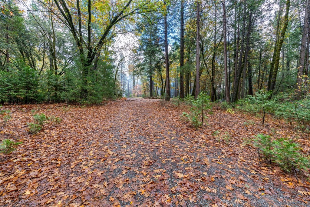 16376 Stage Road Forest Ranch, CA 95942 - Photo 32 of 74