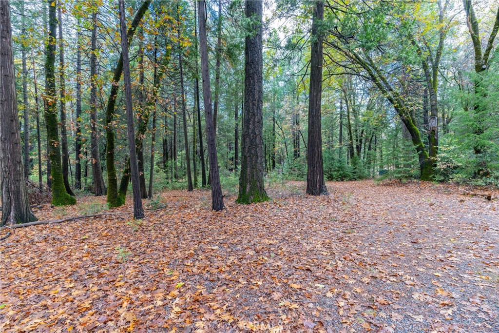 16376 Stage Road Forest Ranch, CA 95942 - Photo 34 of 74