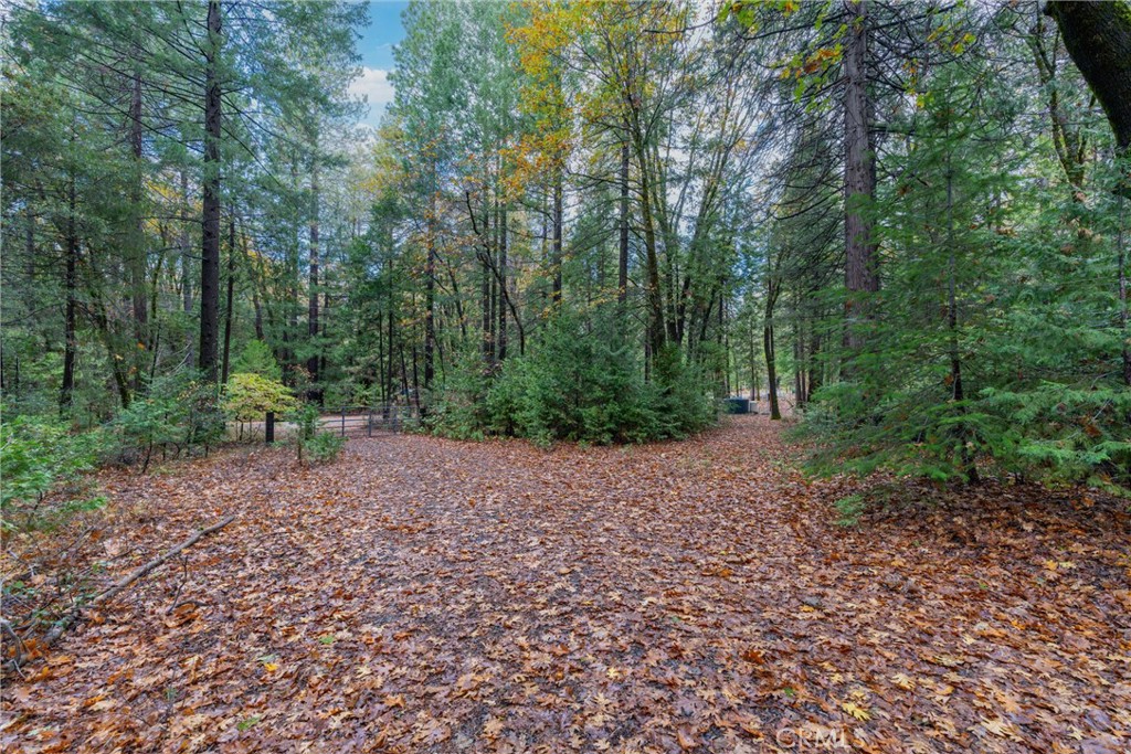 16376 Stage Road Forest Ranch, CA 95942 - Photo 35 of 74