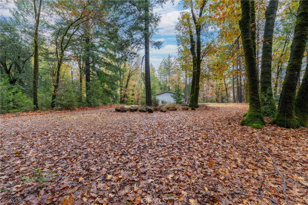 16376 Stage Road Forest Ranch, CA 95942 - Photo 4 of 74