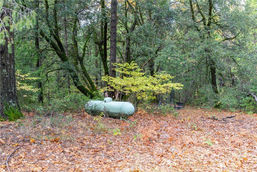 16376 Stage Road Forest Ranch, CA 95942 - Photo 42 of 74