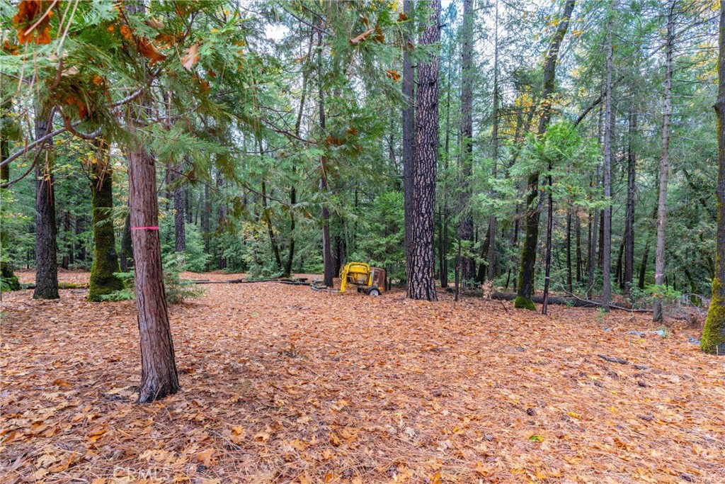 16376 Stage Road Forest Ranch, CA 95942 - Photo 49 of 74