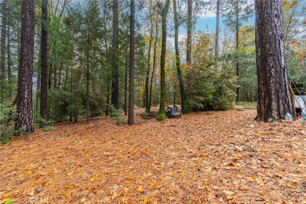 16376 Stage Road Forest Ranch, CA 95942 - Photo 50 of 74