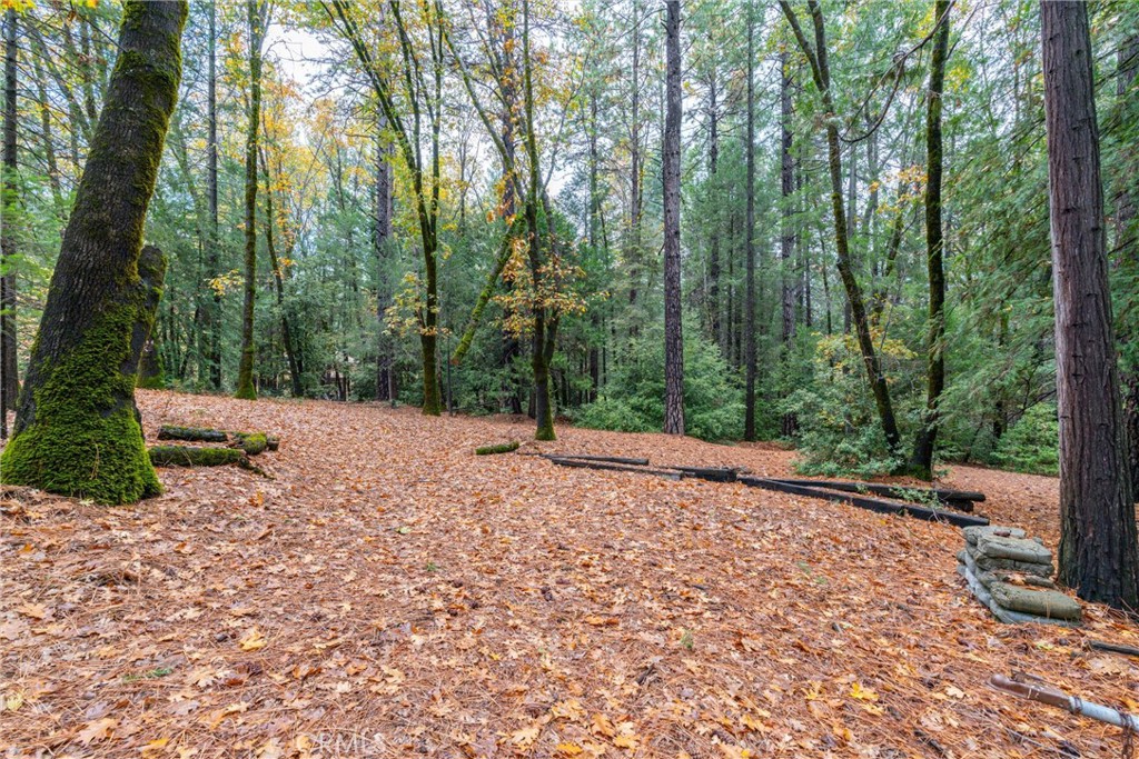 16376 Stage Road Forest Ranch, CA 95942 - Photo 51 of 74