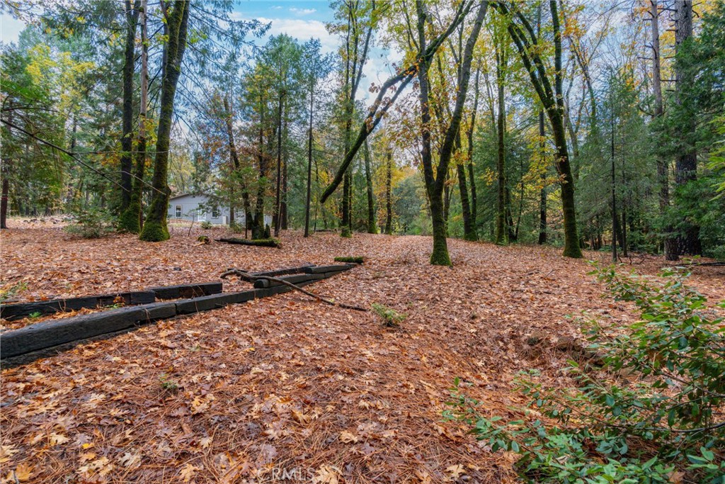 16376 Stage Road Forest Ranch, CA 95942 - Photo 52 of 74