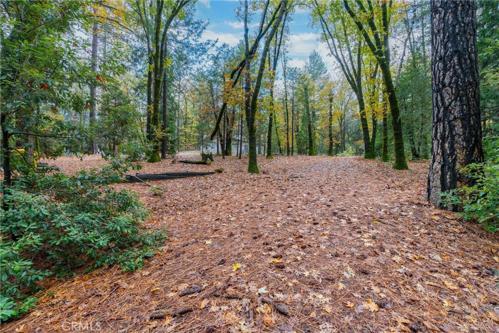 16376 Stage Road Forest Ranch, CA 95942 - Photo 53 of 74