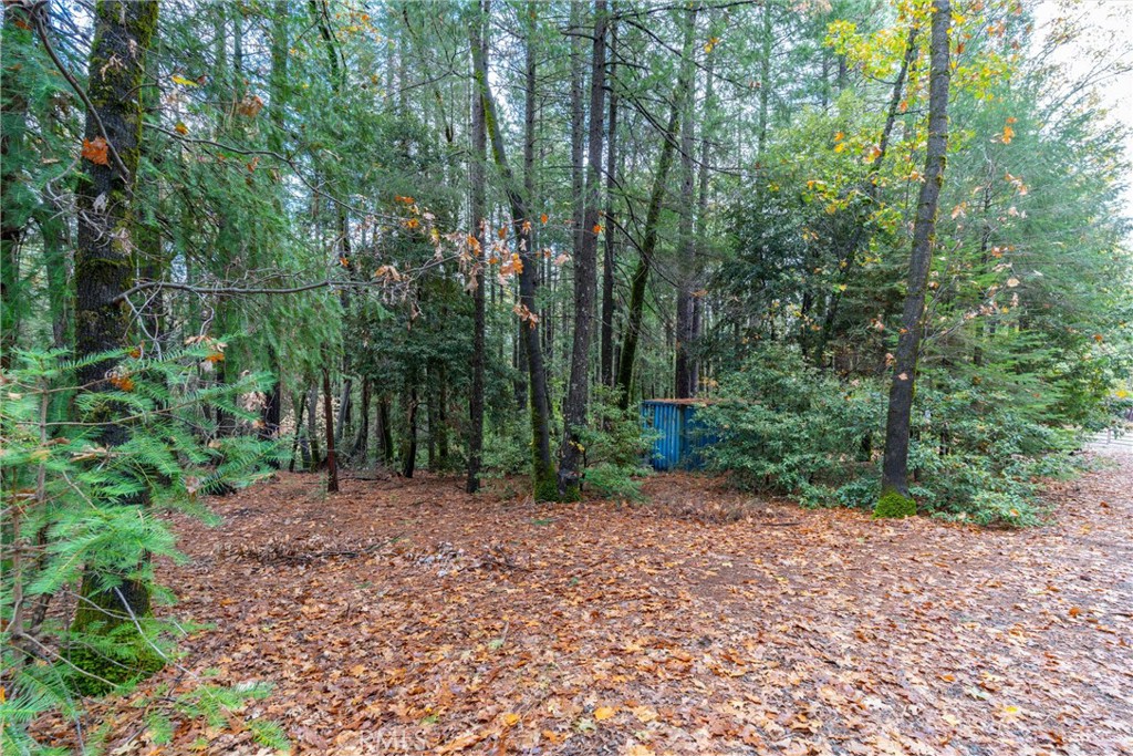 16376 Stage Road Forest Ranch, CA 95942 - Photo 55 of 74