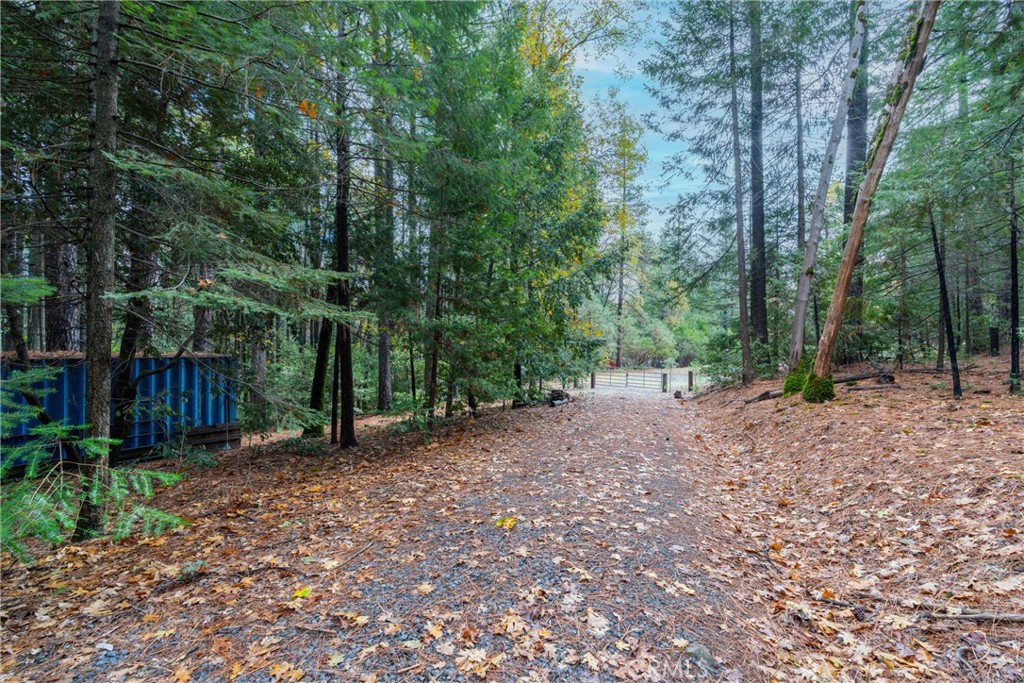 16376 Stage Road Forest Ranch, CA 95942 - Photo 56 of 74