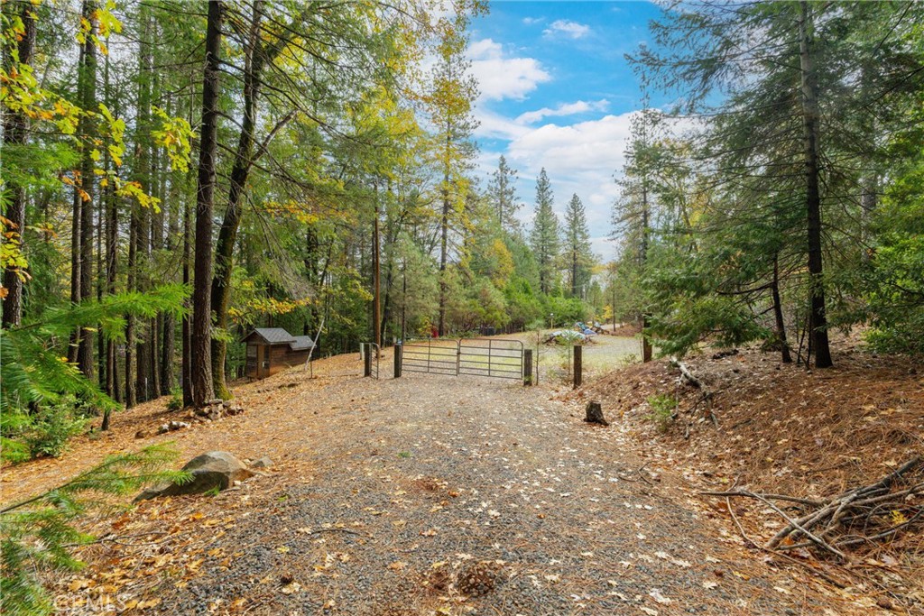 16376 Stage Road Forest Ranch, CA 95942 - Photo 57 of 74