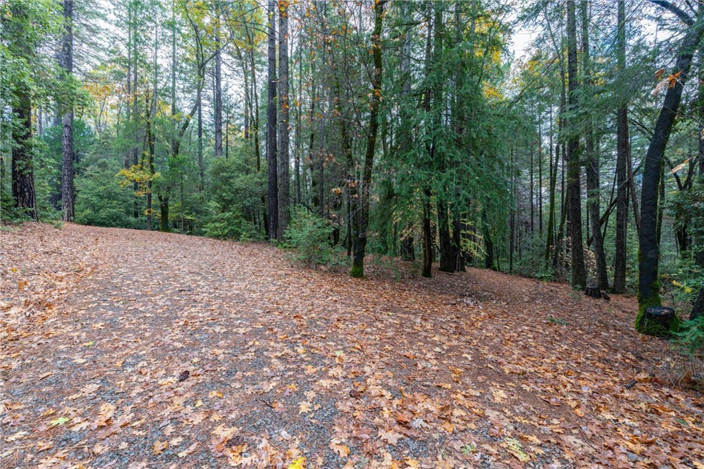 16376 Stage Road Forest Ranch, CA 95942 - Photo 65 of 74