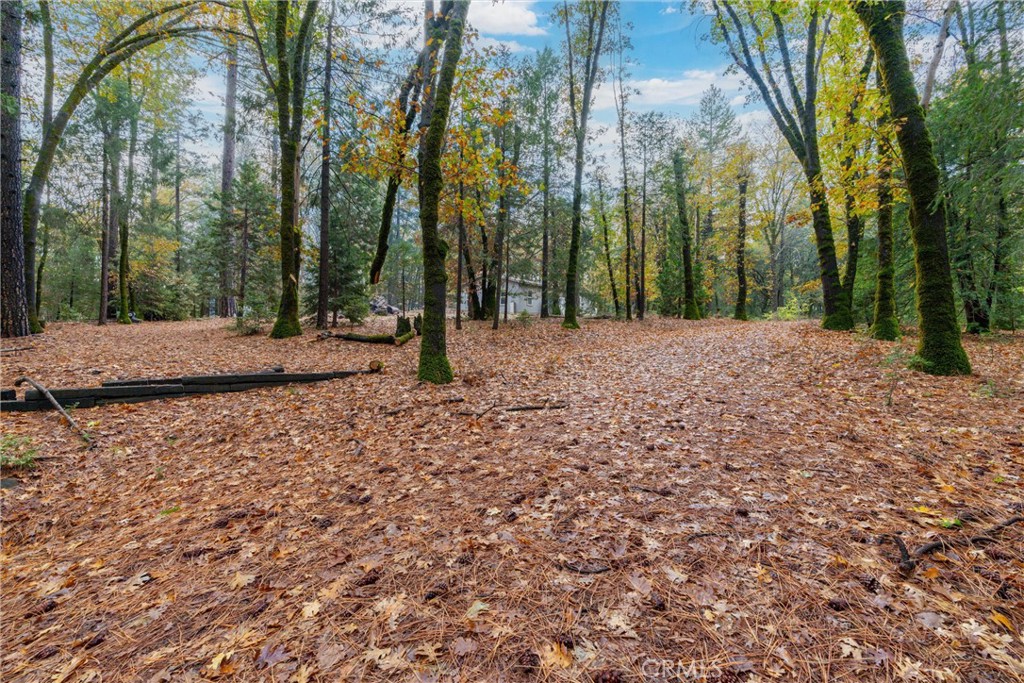 16376 Stage Road Forest Ranch, CA 95942 - Photo 66 of 74