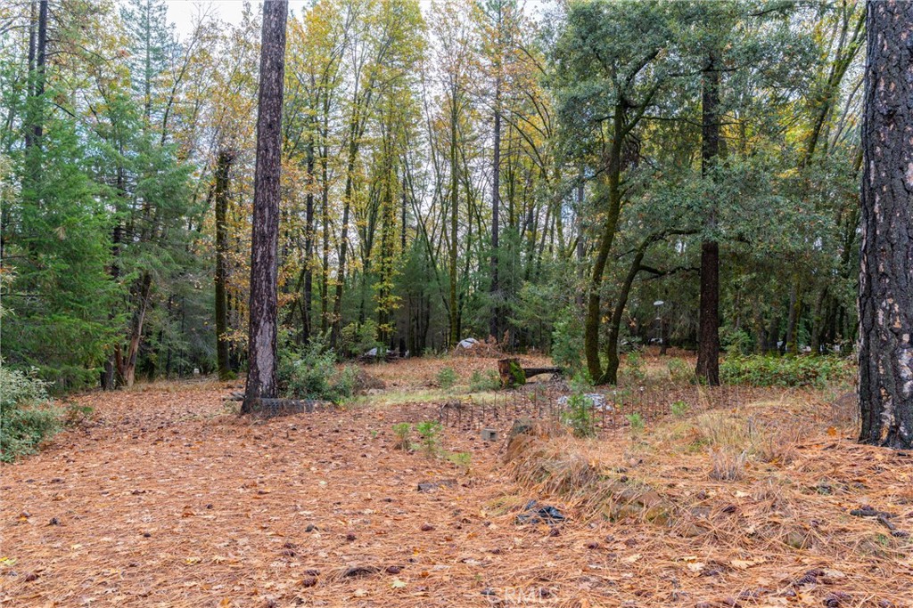 16376 Stage Road Forest Ranch, CA 95942 - Photo 68 of 74