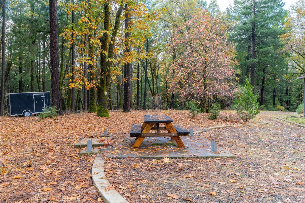 16376 Stage Road Forest Ranch, CA 95942 - Photo 69 of 74